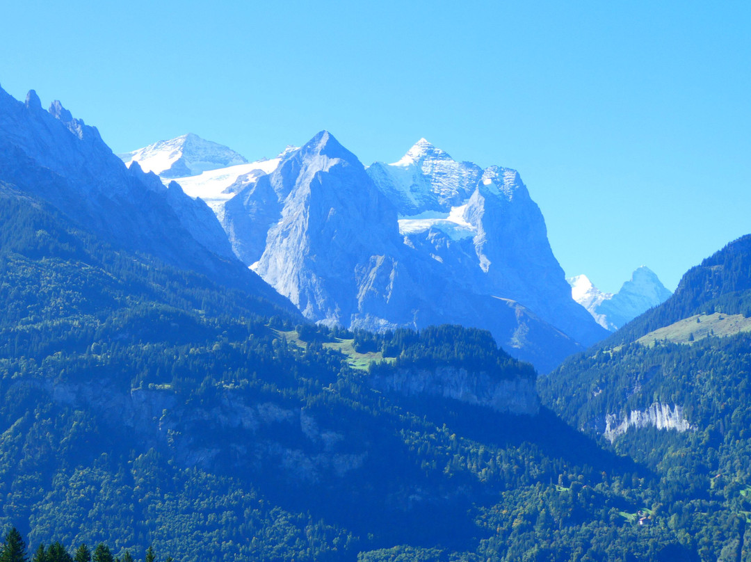 维多利亚酒店主图