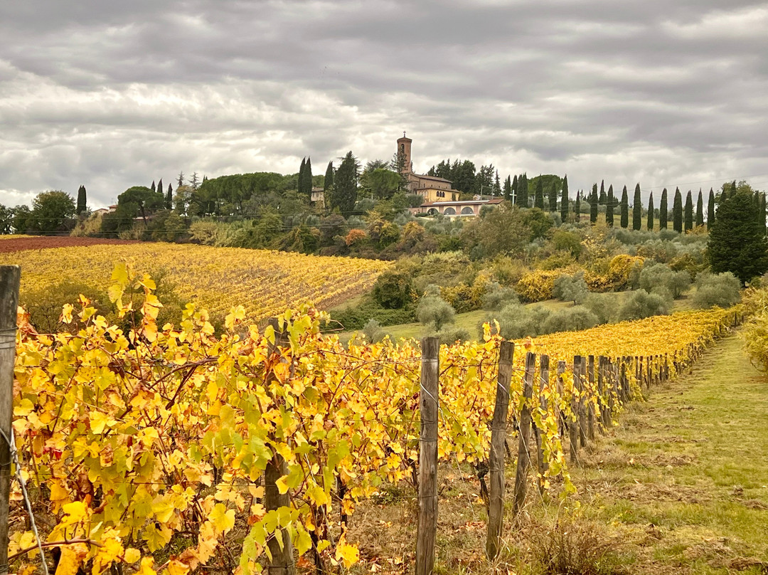 Podere Dell'Anselmo主图