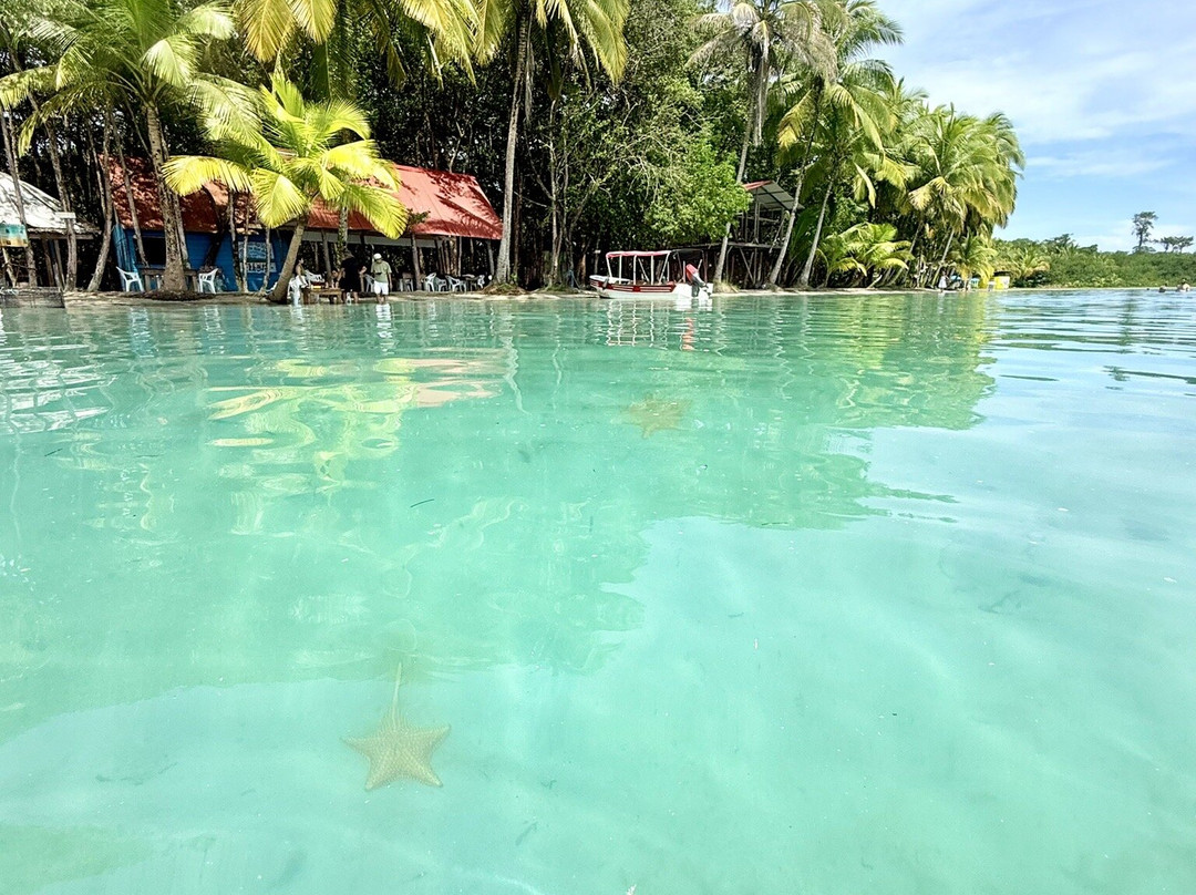 Starfish Beach-博卡斯镇必去景点