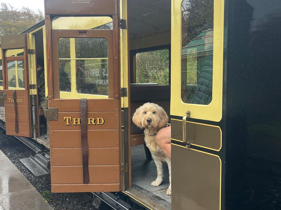 Vale of Rheidol Railway-阿伯里斯特威斯必去景点