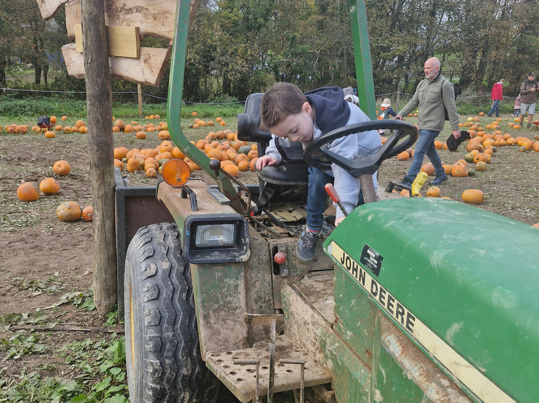 Camel Creek Family Adventure Park-Wadebridge必去景点
