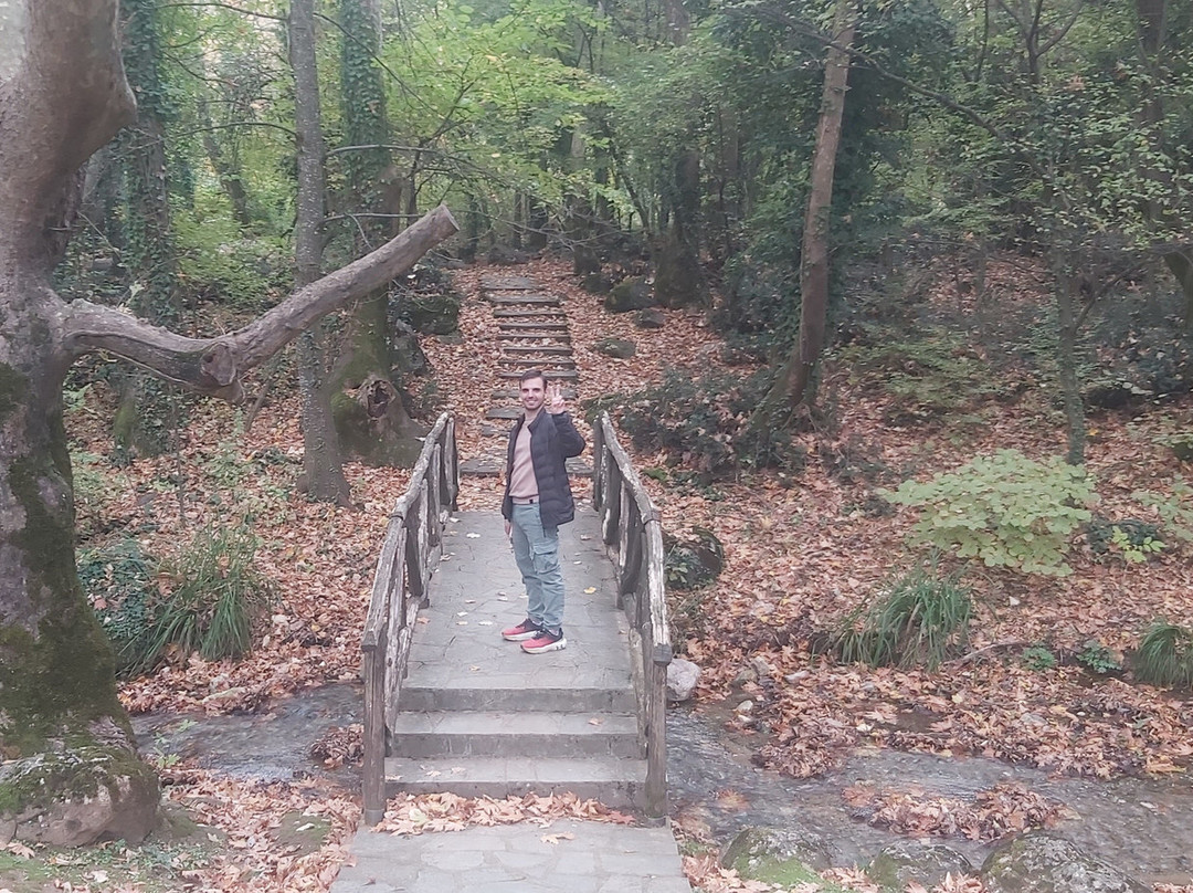 Agios Nikolaos Park-Naousa必去景点