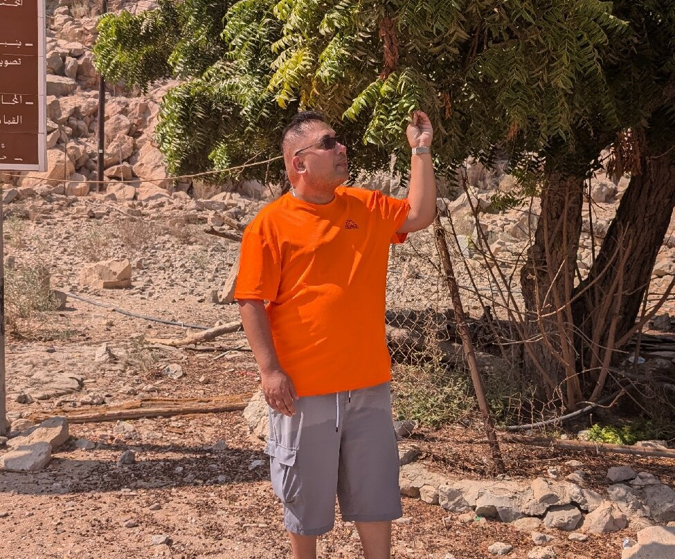 Akira Tours-迪拜必去景点