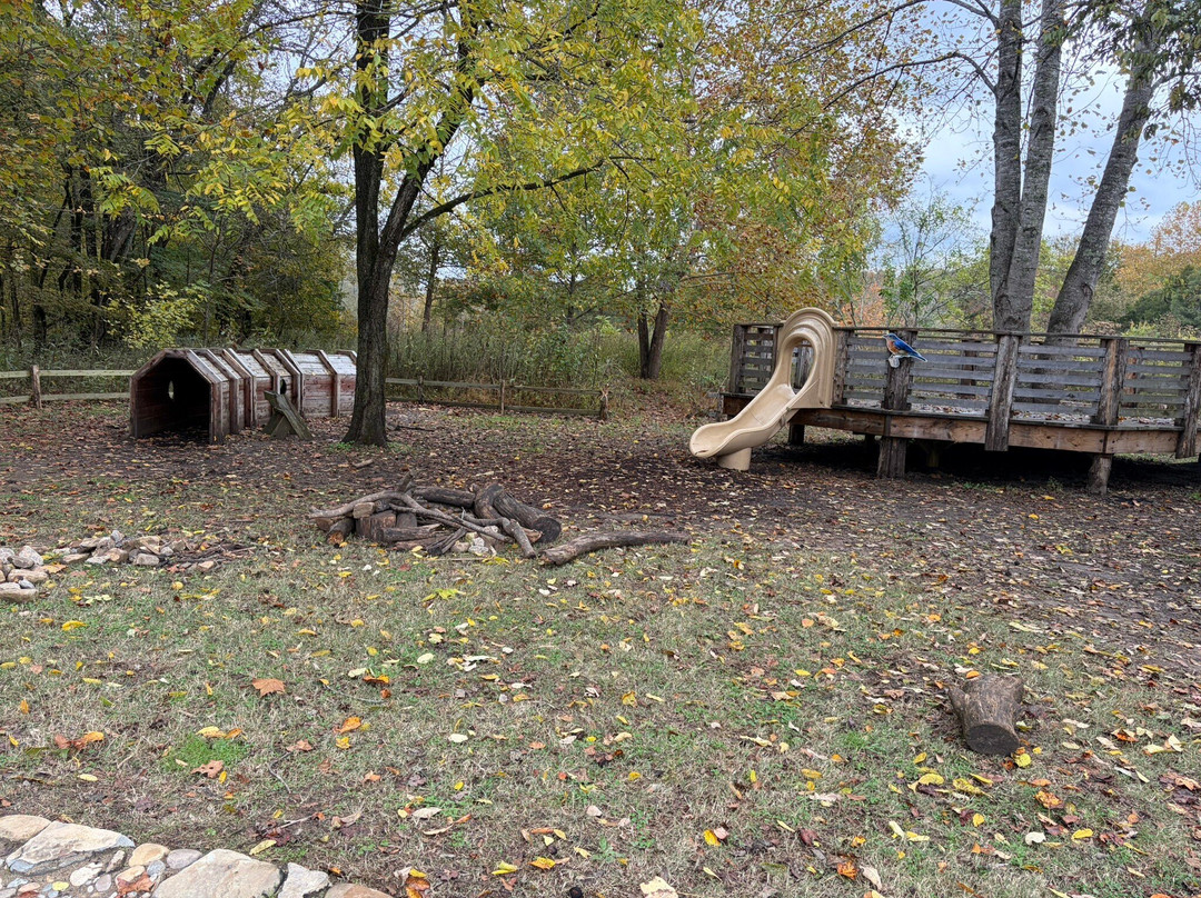 Edwin and Percy Warner Parks-纳什维尔必去景点