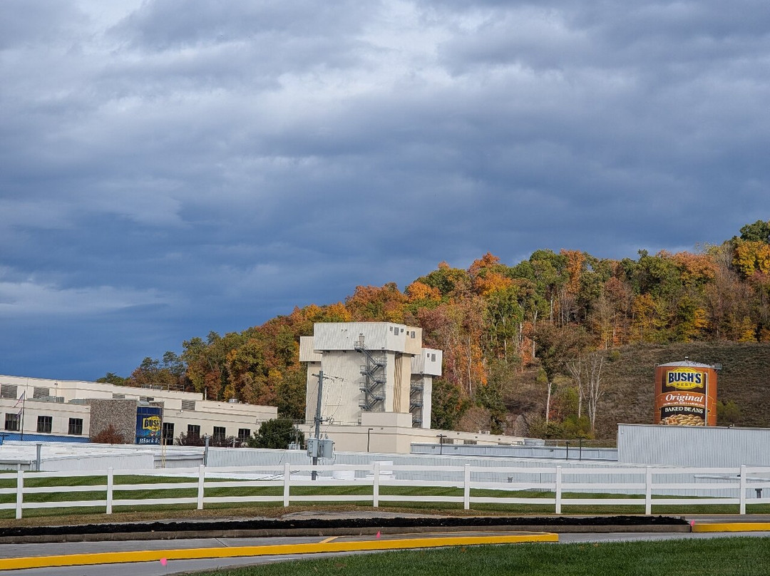 Bush's Visitor Center-Dandridge必去景点