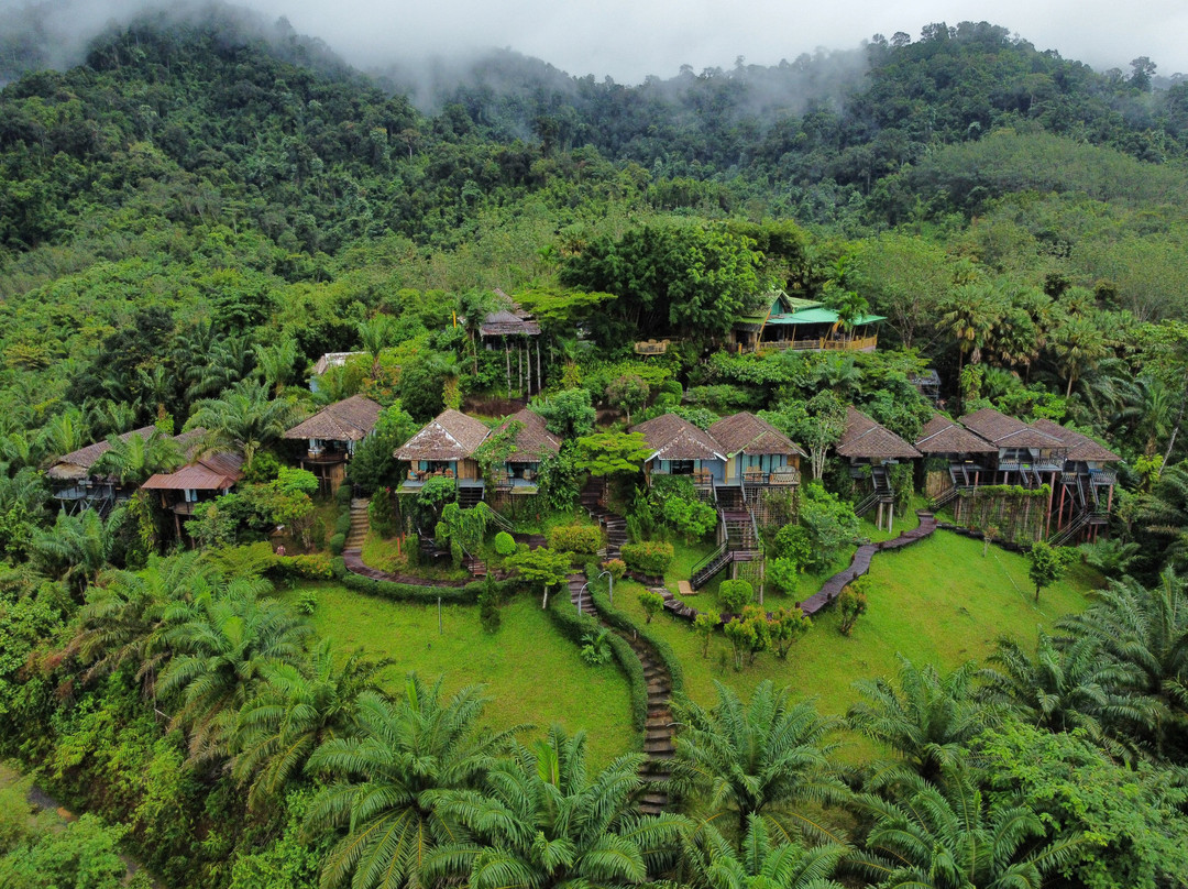 Khao Sok Travel-万打坤必去景点