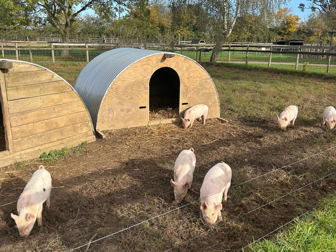Odds Farm Park-海威科姆必去景点
