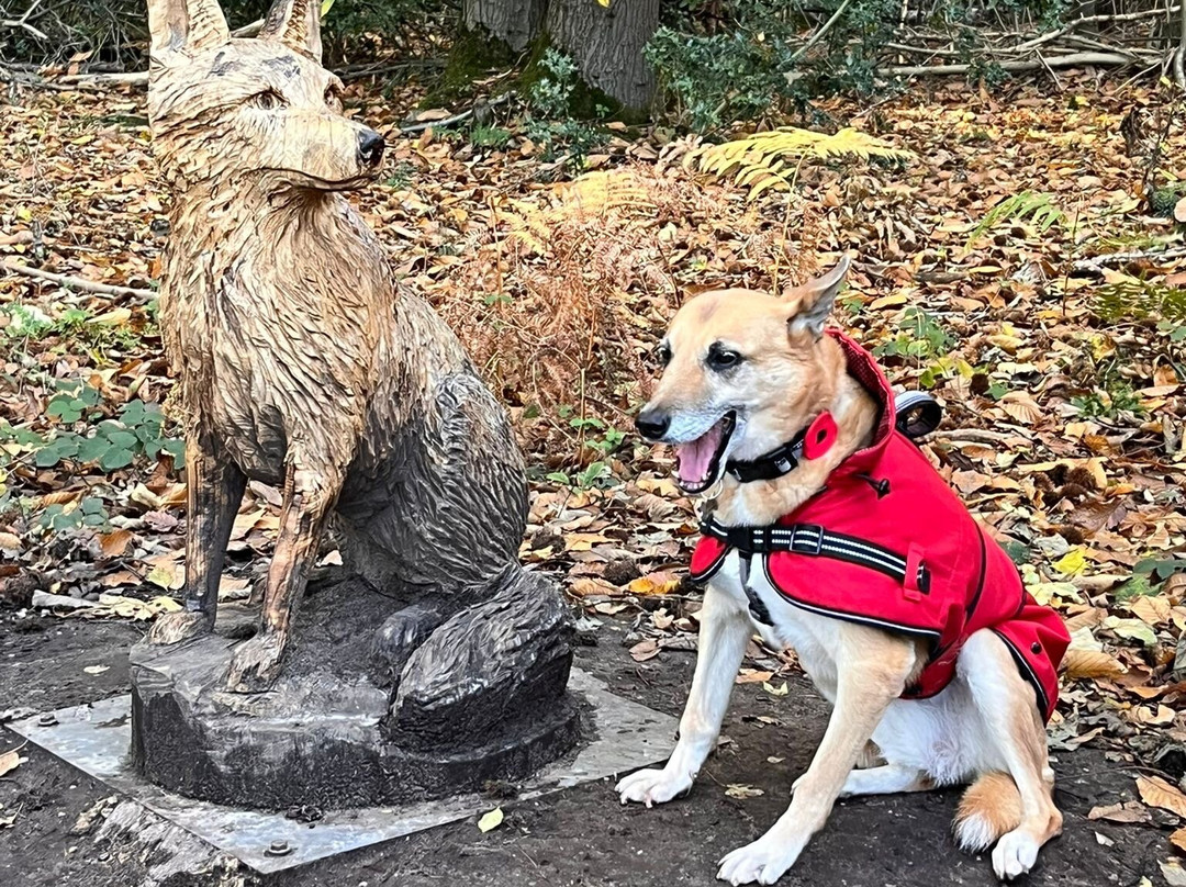 Holt Country Park-诺威奇必去景点