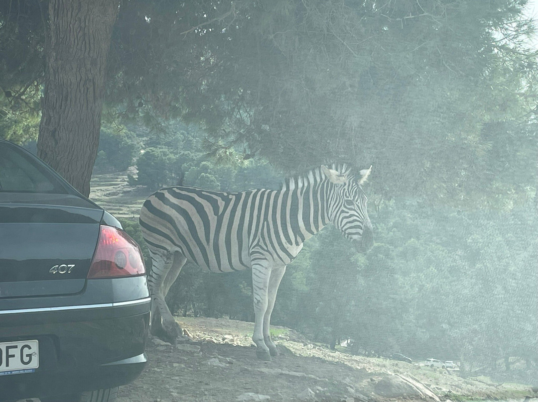 Safari Aitana-Penaguila必去景点