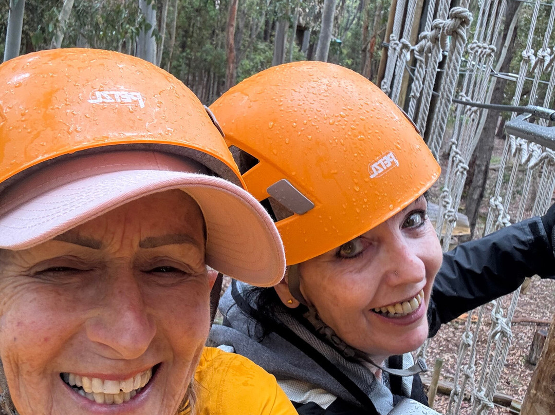 TreeClimb Kuitpo Forest-Kuitpo必去景点