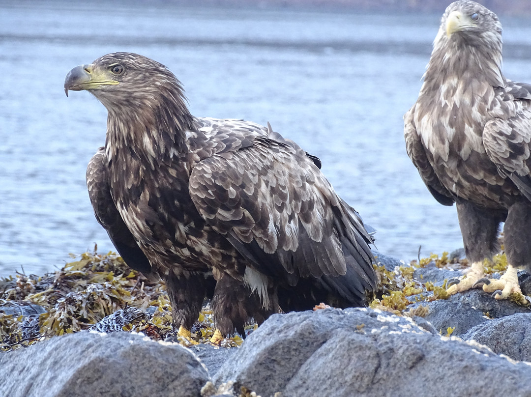 Guide Trek Alps - Viaggi nel Mondo-Saint-Vincent必去景点