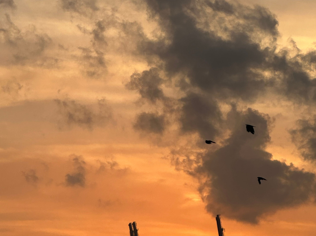 World Travel Experiences-新德里必去景点