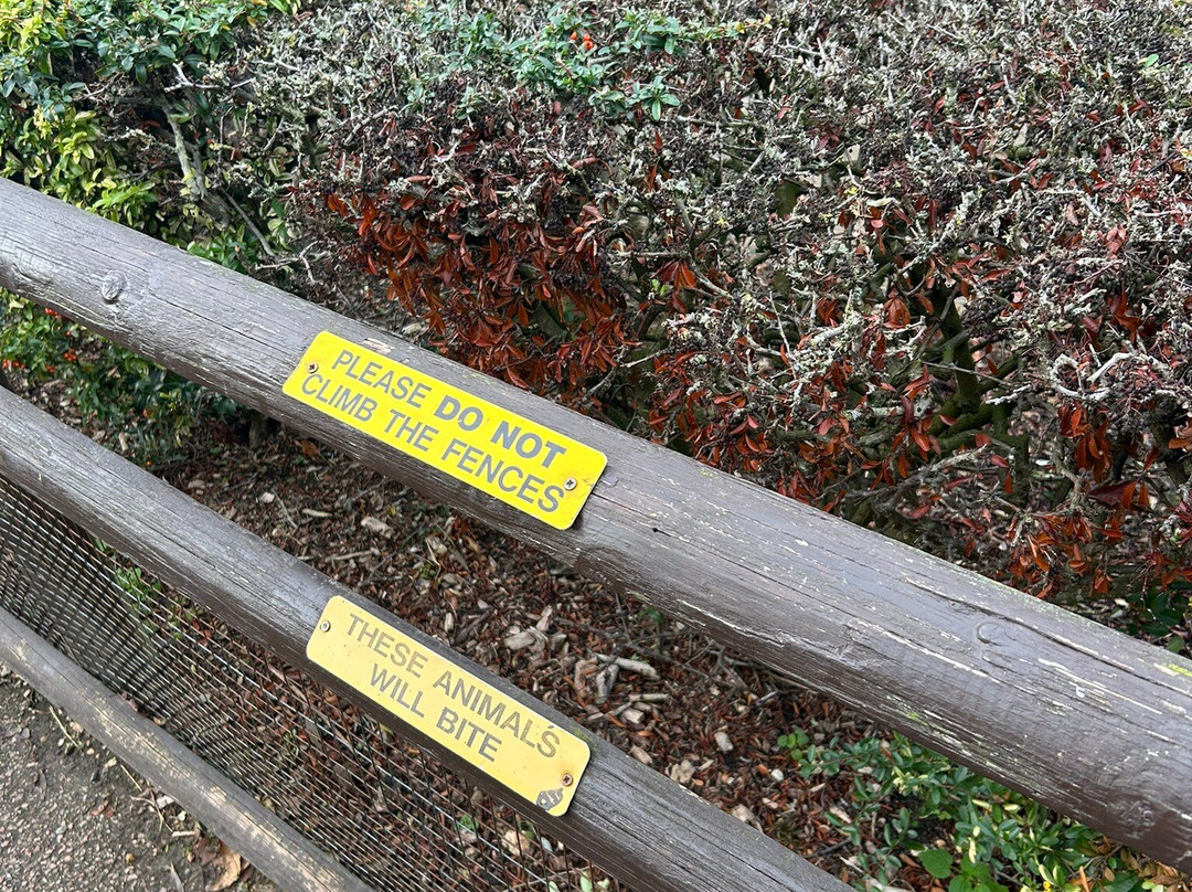 Shepreth Wildlife Park-Shepreth必去景点