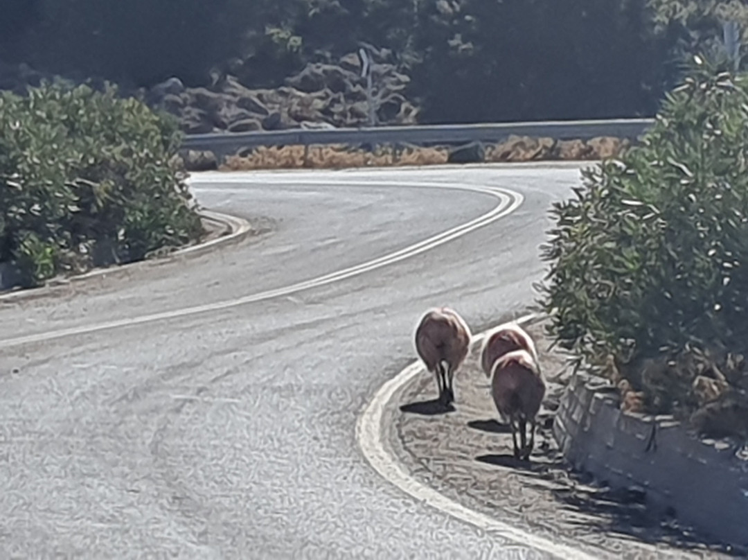 Neos Omalos Hotel主图