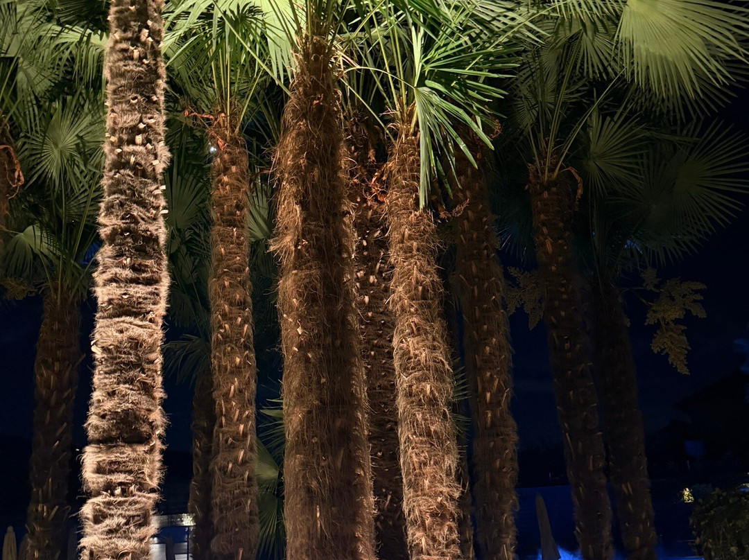 Hotel Tirolensis主图