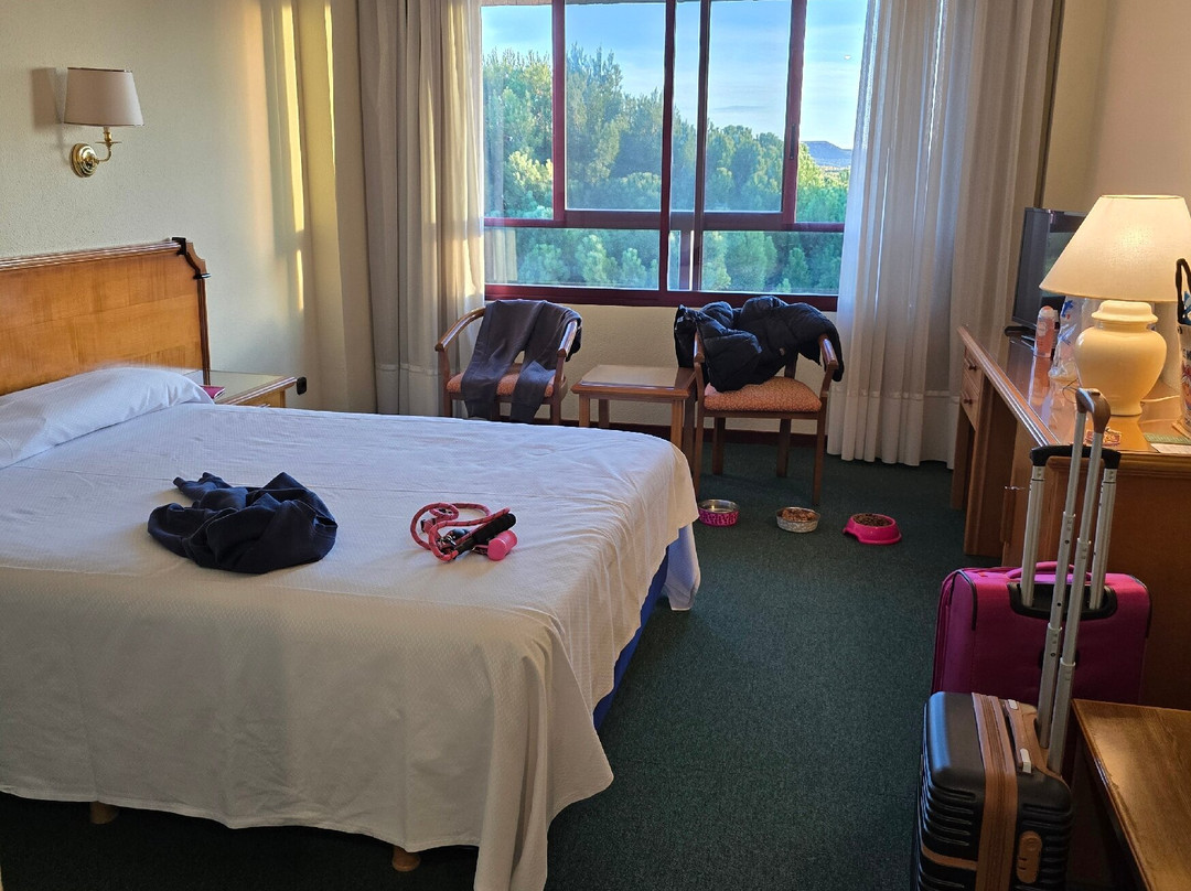 欧罗巴中心酒店主图