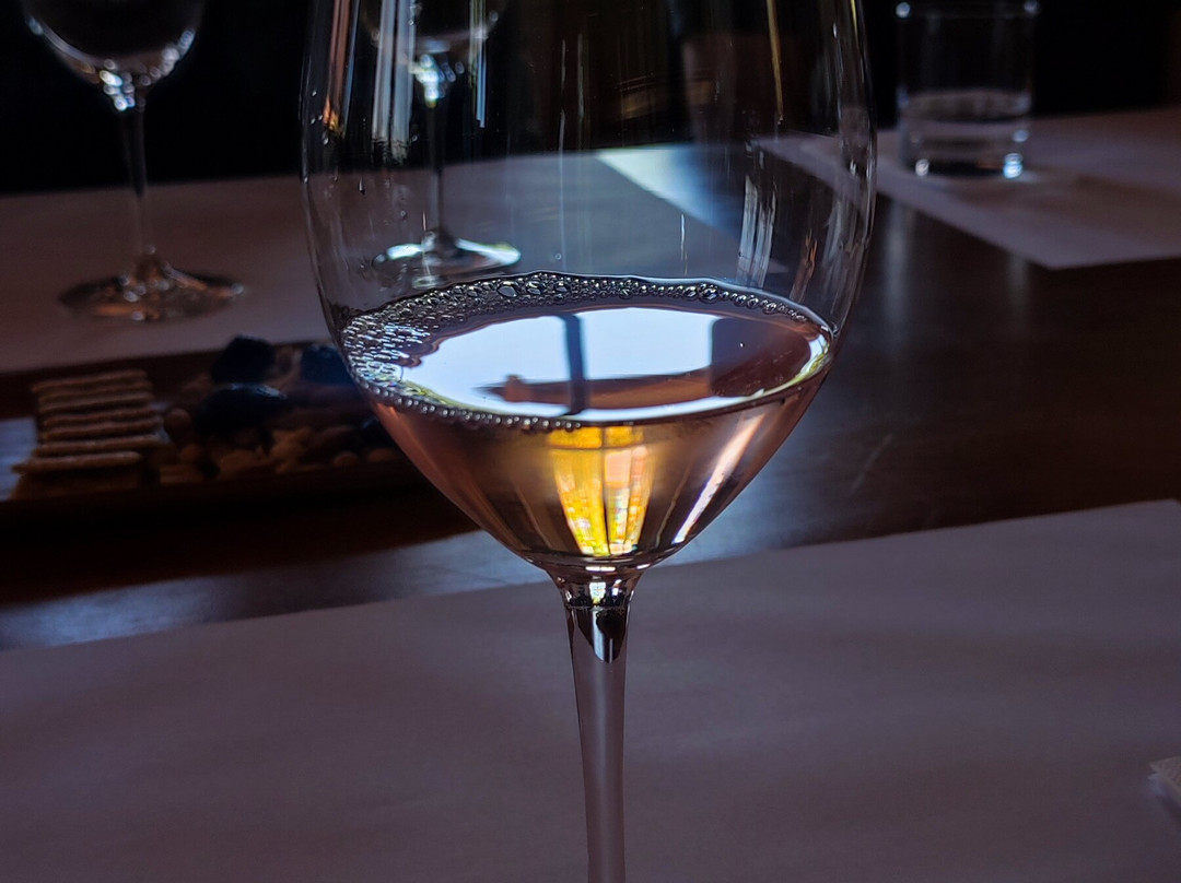 Vina Aquitania-圣地亚哥必去景点