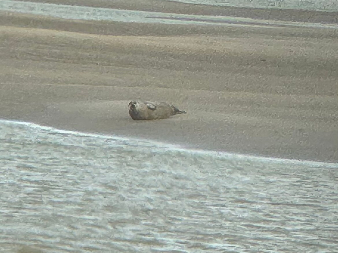 Escale en Baie de Somme