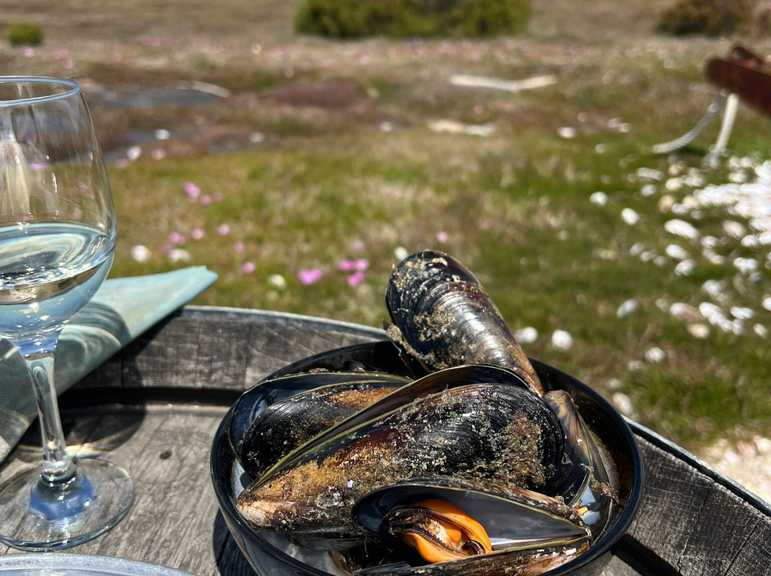 Oyster Bay Tours-科尔斯湾必去景点