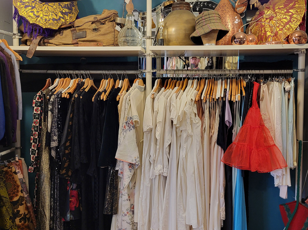 The Dandy Lion-弗罗姆必去景点