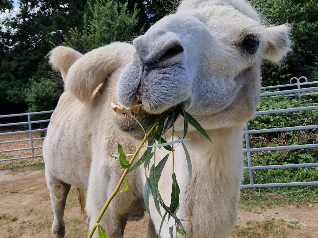 Bioparc Genève Pierre Challandes-Bellevue必去景点