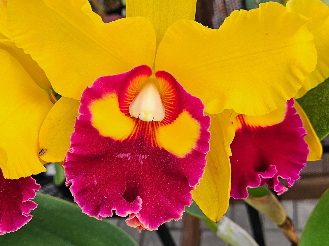 Alma del Bosque-La Ceja必去景点