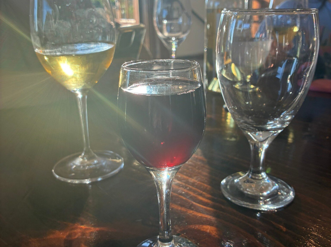 Valley Mills Vineyards-韦科必去景点