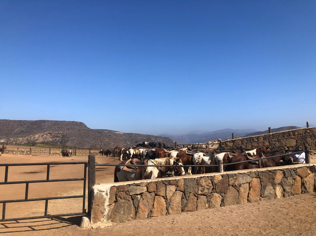 Rancho Los Bandidos-恩塞纳达必去景点