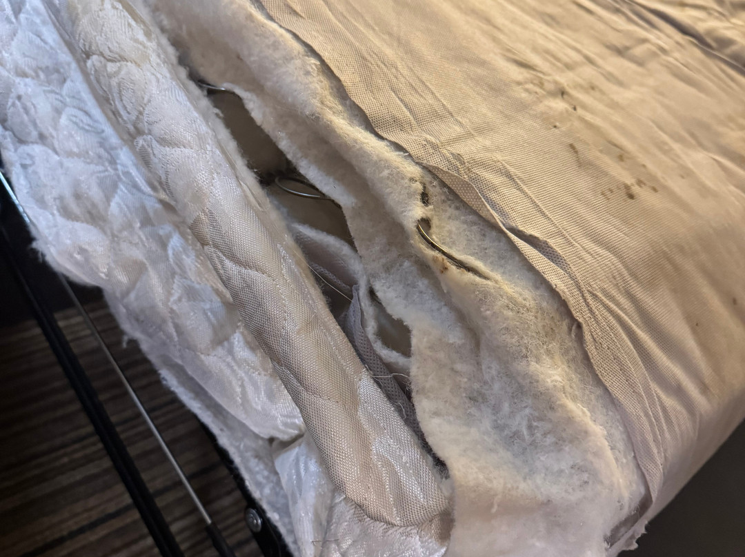 Residence Inn by Marriott Bismarck North主图