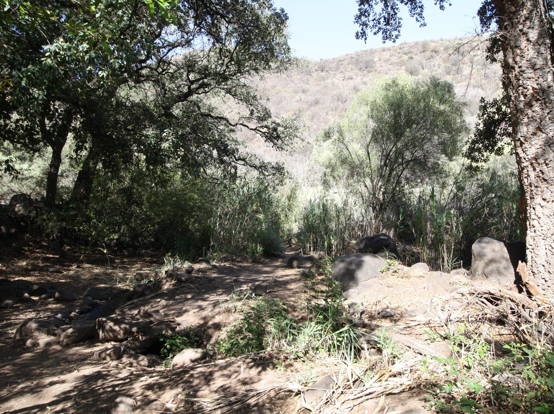 Barranco De Los Cernicalos-特尔德必去景点