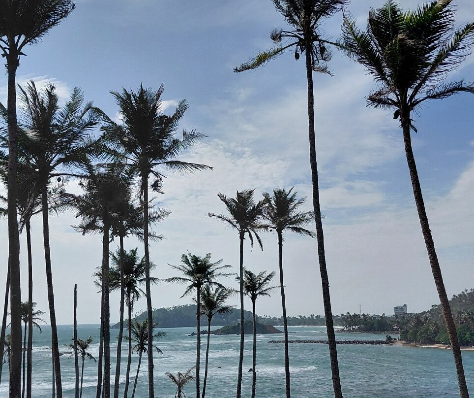 Royal Island Tours-尼甘布必去景点