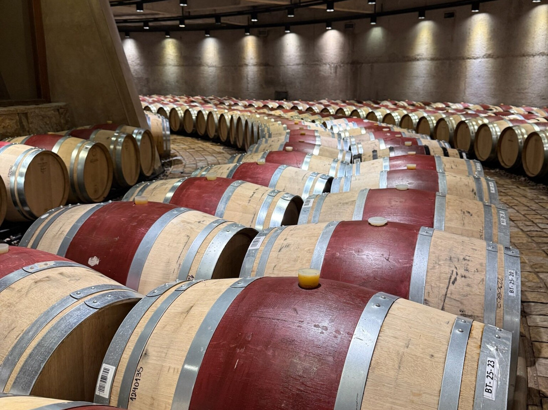 Pourtal Travel-门多萨必去景点