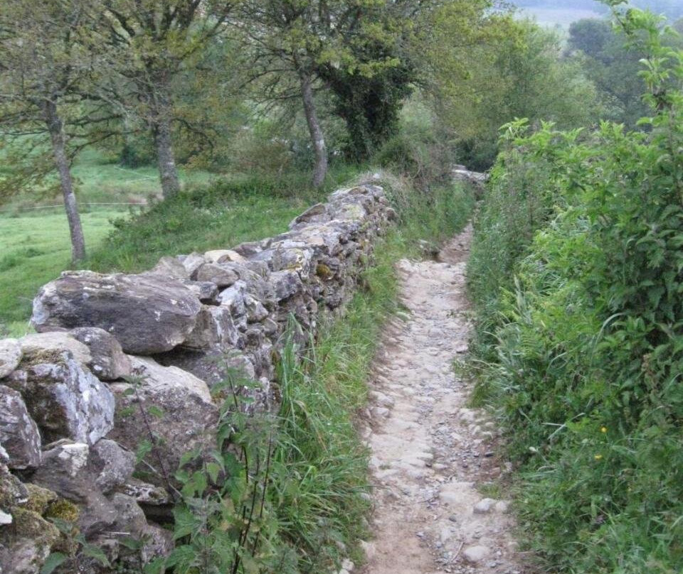 Villa Berk en Heide主图