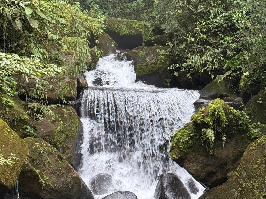Jungle ATV Quad Tours-乌维塔必去景点