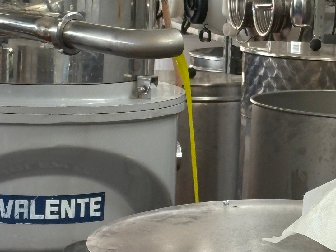 LuccaLimo-卢卡必去景点