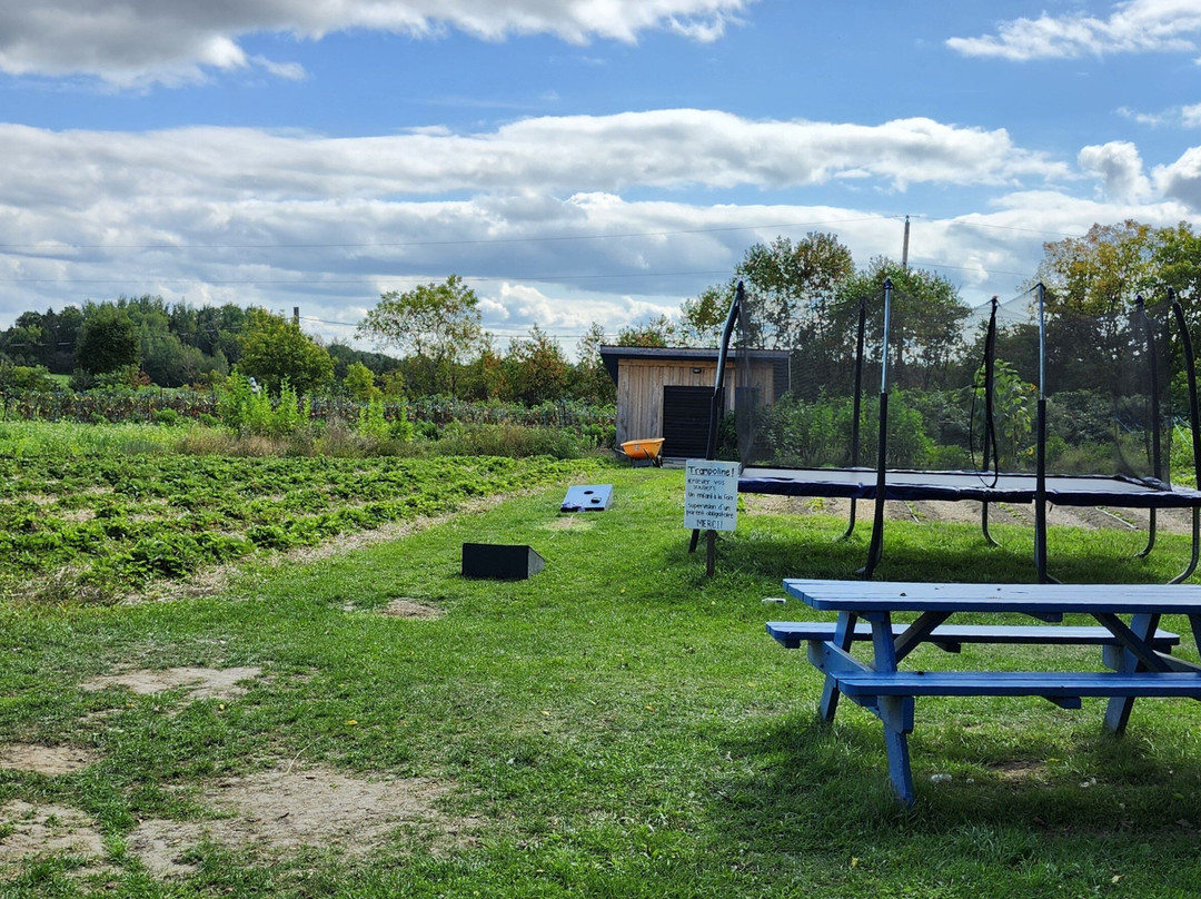 Les Couleurs De La Terre
