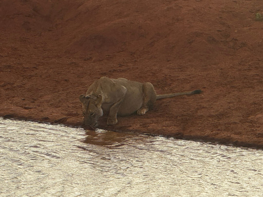 Boomtrail Tours And Travels-蒙巴萨必去景点