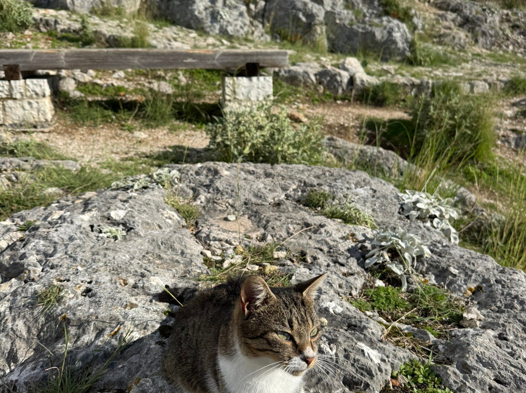 Himara Castle-Himare必去景点