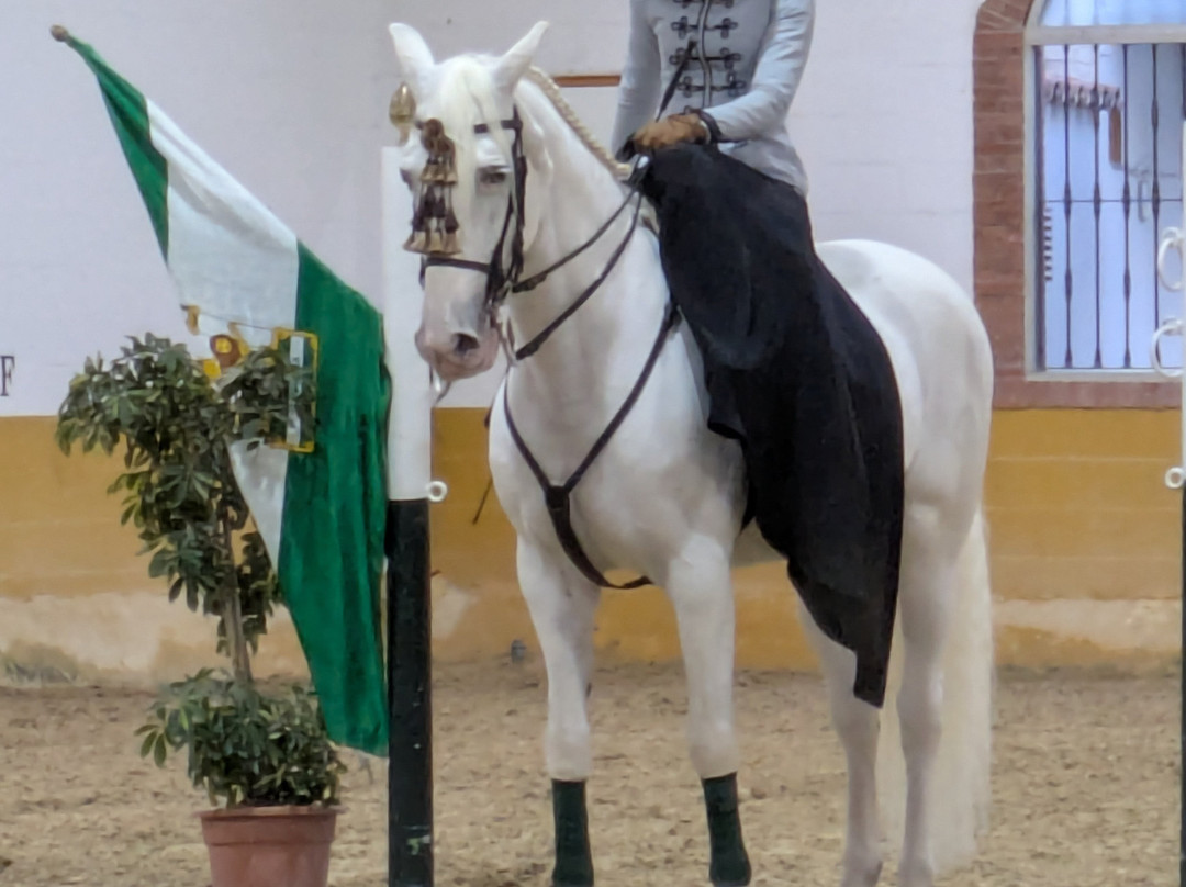 Centro de Equitacion El Ranchito-托雷莫里诺斯必去景点