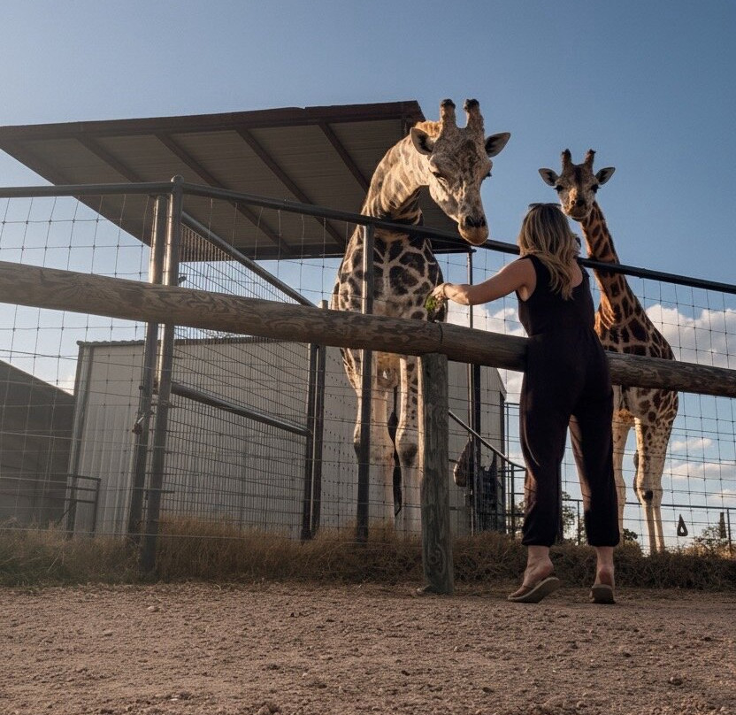 Aggieland Safari-布赖恩必去景点