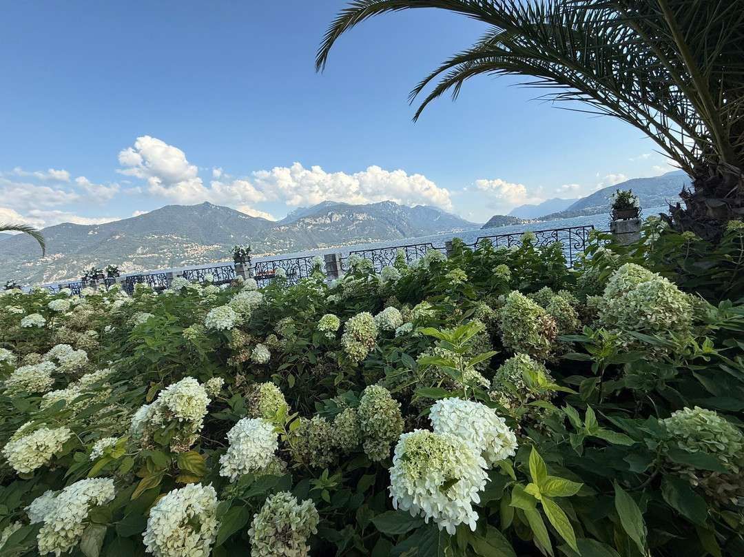 维多利亚大酒店主图