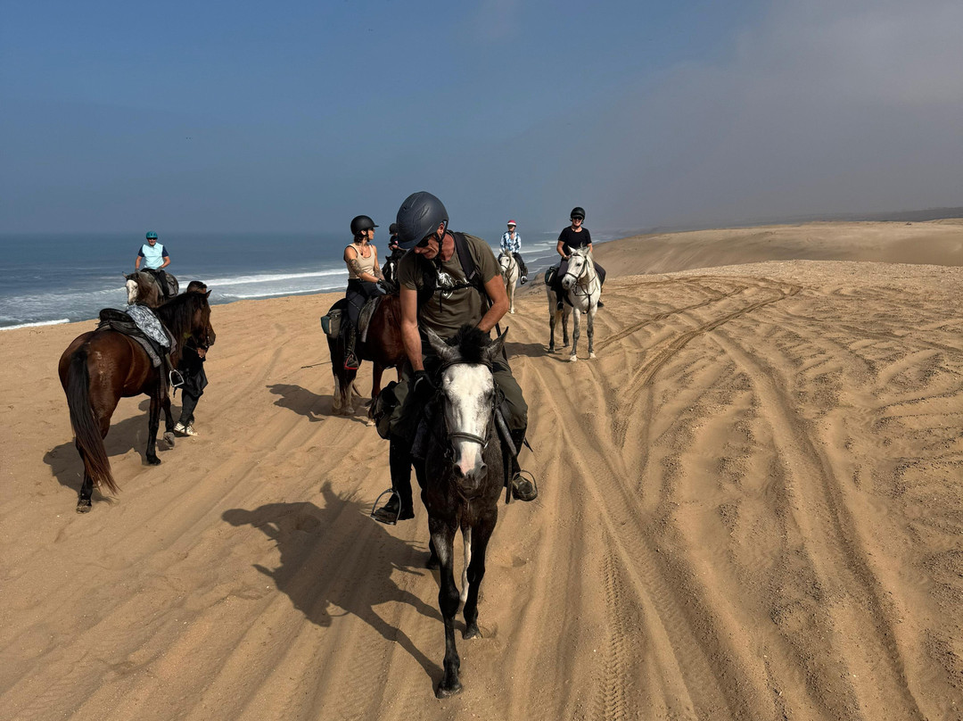 Ranch Sahara-阿加迪尔必去景点