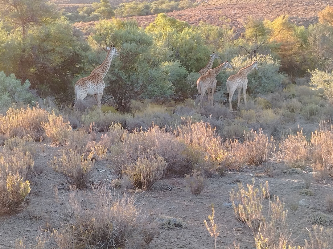 Mont Eco Game Reserve主图