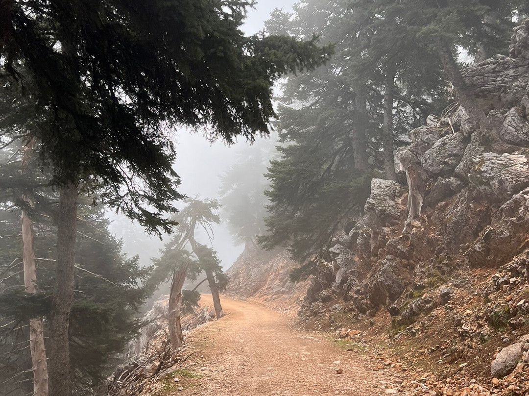 Mount Ainos National Park-凯法利尼亚岛必去景点