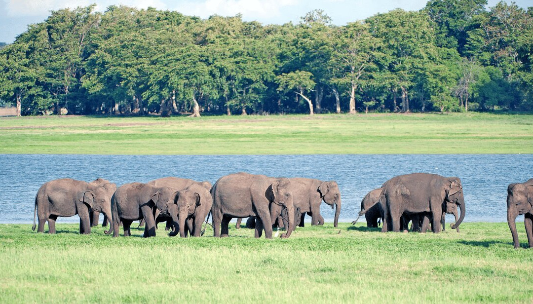 Sigiriya Ceylon Tours-锡吉里亚必去景点