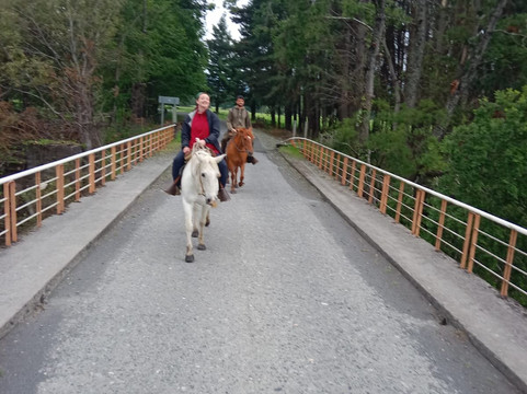 Cabalgatas Mayin-Cunco必去景点