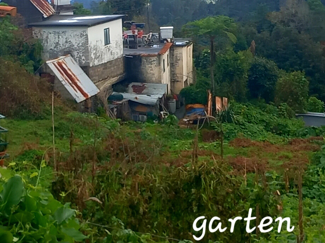 Vida Atlantica-马德拉群岛必去景点