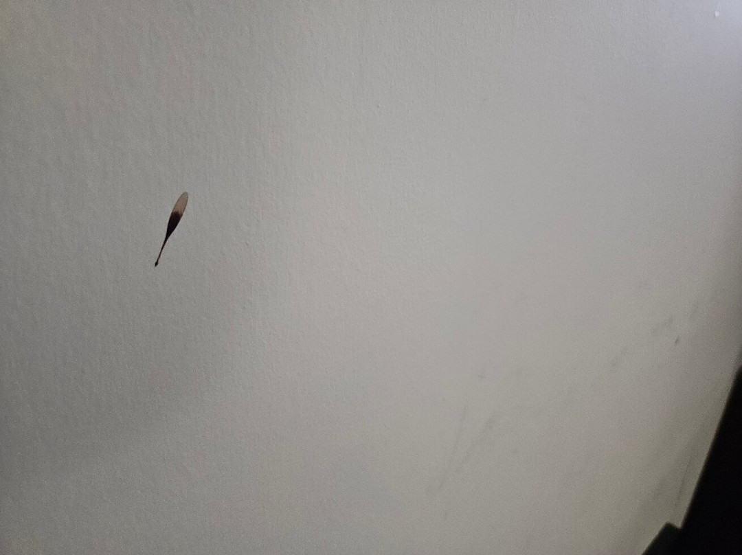 Best Western New Albany主图