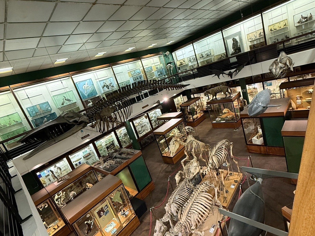 University of Aberdeen Zoology Museum-阿伯丁必去景点