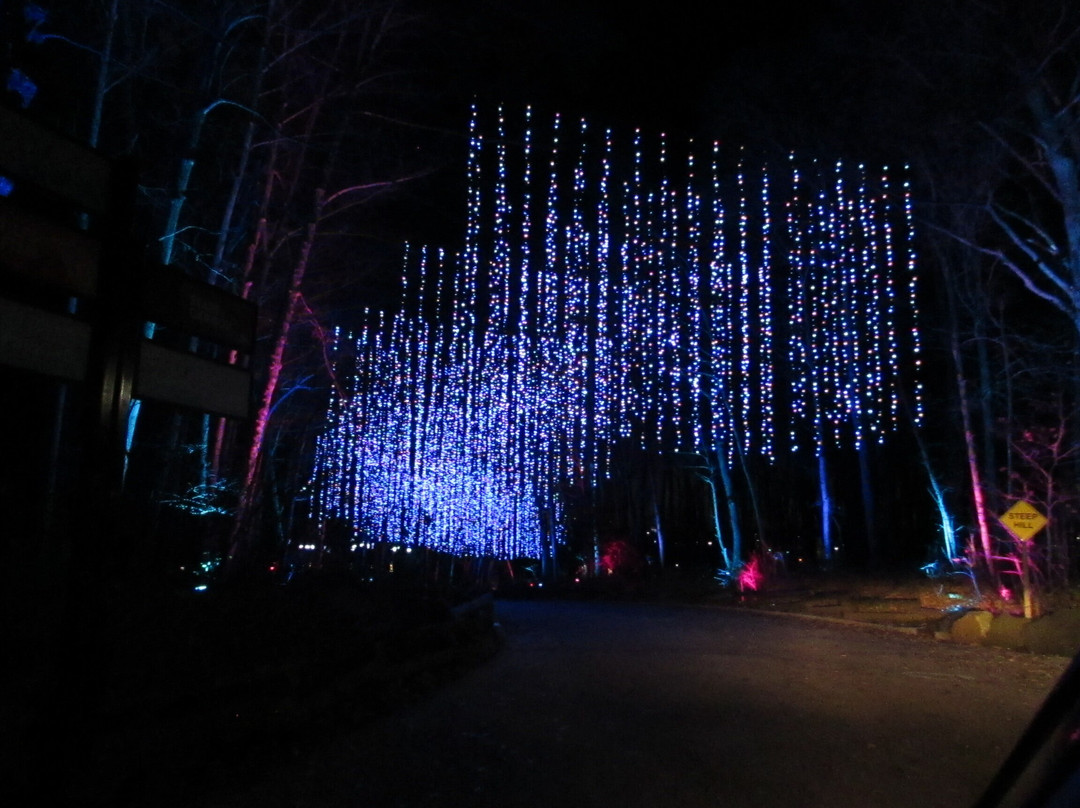 Milwaukee County Zoo-密尔沃基必去景点